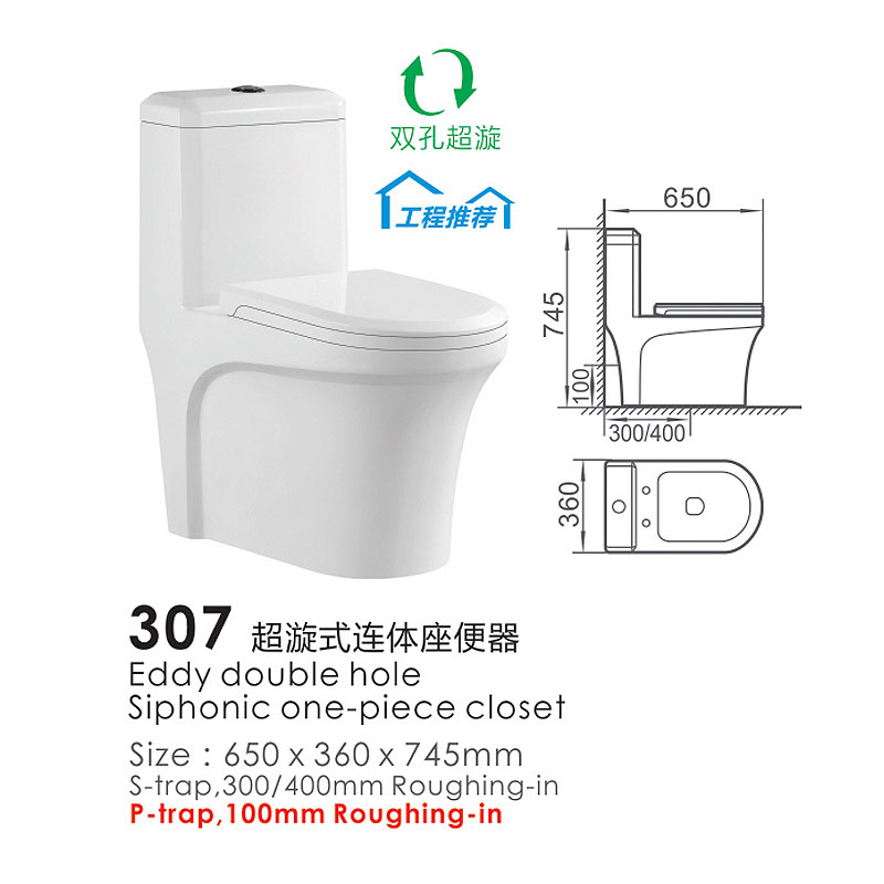307 one piece toilet